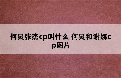 何炅张杰cp叫什么 何炅和谢娜cp图片